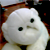 :iconthisisedmund: