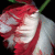 :iconthisishowweburn:
