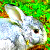 :iconthisismarshallok: