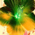 :iconthisismyreality: