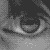 :iconthisofflowersspring: