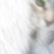 :iconthistangleofthorns:
