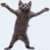 :iconthiswins: