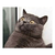 ThitherPanther :iconthitherpanther: