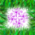 :iconthomas-felicis: