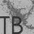 :iconthomasbaart:
