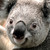 :iconthomasjackson2012: