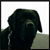 :iconthomaspics:
