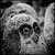:iconthomassedgewick: