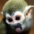:iconthomc1980: