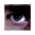 :iconthomnz: