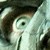 :iconthomson7: