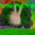 :iconthor-pultion: