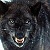 :iconthorgrum:
