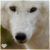 :iconthorkling: