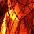 :iconthorn-hailfly: