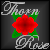 :iconthorn-samarra-rose: