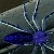 :iconthorned-blue-rose: