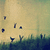 :iconthornempire: