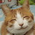 :iconthornpawdragon: