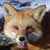 :iconthothflashpan: