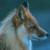 :iconthought-fox: