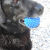 :iconthoughtfuzzle:
