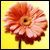 :iconthoughtlessinlove: