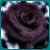 :iconthoughtlessinsomniac: