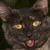 :iconthousandgrip:
