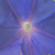 :iconthousandkissesdeep-j: