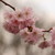 :iconthousandtimes221: