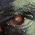 :iconthrawn89: