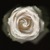 :iconthreestarhope: