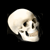 :iconthret: