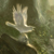 :iconthroughshiveredglass:
