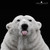 :iconthump-r-b: