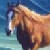 :iconthunder-rolling-mare: