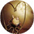 :iconthunderann: