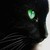 :iconthundercat21: