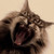 :iconthunderdragon92:
