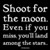 :iconthunderheart14: