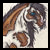 :iconthunderheartsfanclub: