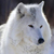 :iconthunderhound: