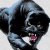 :iconthunderice747: