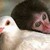 :iconthunderific101: