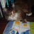 :iconthunderpelt299: