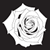 :iconthunderstorm047: