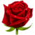 :iconthunderzebragraphics: