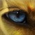 :iconthundrbolt: